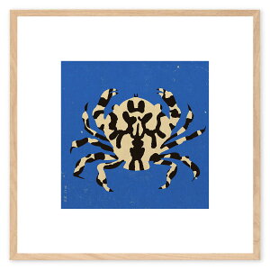 The Poster Club A[g|X^[ 50×50cm Calico Crab |X^[Nu kG f}[N A[gvg CeA  IV lC  mN re[W Be[W _ 