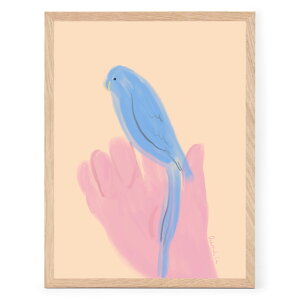 The Poster Club A[g|X^[ 30×40cm Parrot in Hand |X^[Nu kG f}[N A[gvg CeA  IV lC  mN re[W Be[W _