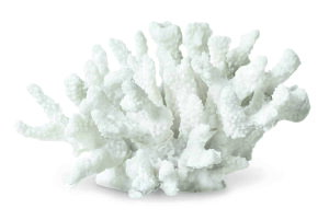 Mette Ditmer R[`[t̃fR[VIuWF CORAL 01 u X TS fR[V A[gs[X   kCeA kG ~j}fUC Vv_ 