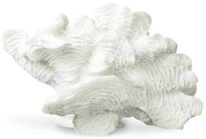 Mette Ditmer R[`[t̃fR[VIuWF CORAL 03 u X TS fR[V A[gs[X   kCeA kG ~j}fUC Vv_ 