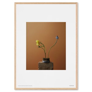 ALIUM A[g|X^[ 50×70cm Spring Flowers G A[gvg CXg kfUC f}[N t@CA[g WN[ CeA mN kG  rO ۃA[g 