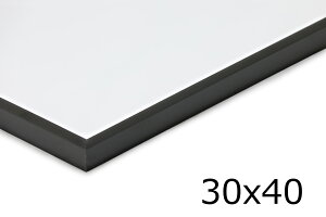 A~jE |X^[t[ ubN 30×40cm y A~t[  kfUC F mN mg[ X ׂ ז Vv  A[g ᔽ Ǌ| UVJb