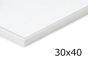 A~jE |X^[t[ Vo[ 30×40cm y A~t[  kfUC F mN mg[ X ׂ ז Vv  A[g ᔽ Ǌ| UVJb