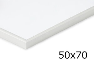 A~jE |X^[t[ Vo[ 50×70cm y A~t[  kfUC F mN mg[ X ׂ ז Vv  A[g ᔽ Ǌ| UVJb