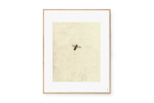 Fine Little Day t@CgfC A[g|X^[ 40×50cm FLY CXg ۃA[g Ǌ| ǎ z  Q rO CO G kCeA kG rOG kfUC i`