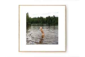 Fine Little Day t@CgfC A[g|X^[ 50×50cm SWIM CXg ۃA[g Ǌ| ǎ z  Q rO CO G kCeA kG rOG kfUC i`