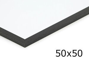 天然木製 ポスターフレーム 低反射アクリル ブラック 50×50cm 黒色 北欧デザイン 北欧雑貨 50 50 モノトーン シンプル おしゃれ 映り込みが少ない アートフレーム 人気 おすすめ アンチグレア