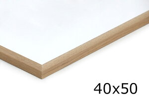 |X^[t[ ᔽ˃AN VR؃I[NC 40×50cm ؐ kfUC kG  40 50 i`  f荞݂Ȃ A[gt[ lC  A`OA