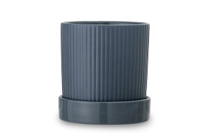 y݌ɌzyēׂȂzBloomingvilleu[~OB@VvȃfUC̃\[T[tt[|bg@_[Nu[ykG Vv _ mg[  CeA 