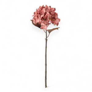 Bloomingville u[~OB RȃsNFƑ@ׂȉԂт̃AWTC̑ Hydrangea Stem [Y tFCNO[ A[eBtBVt[ lHϗtA kG CeA 