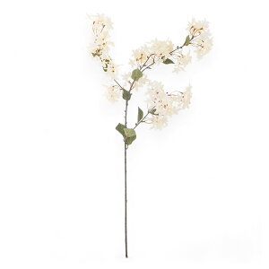 Bloomingville u[~OB @ׂȔԂ̃tF~jȃMoCJ̑ Myrtle Branch zCg tFCNO[ A[eBtBVt[ lHϗtA kG CeA 