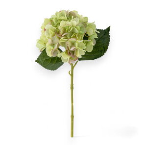 Bloomingville u[~OB ԂȃAWTC̑ Hydrangea Stem zCg tFCNO[ A[eBtBVt[ lHϗtA kG CeA  i` u I