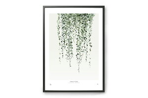 My Deer Art Shop A[g|X^[ 30×40cm STRING OF PEARLS (Limited edition of 500) kG A[gvg CeA ϗtA I_  IV lC  mN