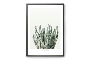 My Deer Art Shop A[g|X^[ 30×40cm SHADES OF GREEN (Limited edition of 250) kG A[gvg CeA ϗtA I_  IV lC  mN