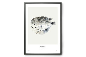 y݌ɌzyēׂȂzMy Deer Art Shop A[g|X^[ 50×70cm Pufferfish kG A[gvg CeA I_  IV lC  mN re[W Be[W 