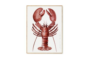 y݌ɌzyēׂȂzMy Deer Art Shop A[g|X^[ 30×40cm Lobster (Limited edition of 250) kG A[gvg CeA I_  IV lC  mN