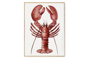 y݌ɌzyēׂȂzMy Deer Art Shop A[g|X^[ 50×70cm Lobster (Limited edition of 250) kG A[gvg CeA I_  IV lC  mN