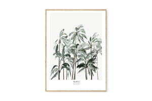 My Deer Art Shop アートポスター 30×40cm Palms II (Limited edition of 250) 北欧雑貨 アートプリント インテリア 観葉植物 オランダ おしゃれ オシャレ 人気 おすすめ モノクロ ビンテージ