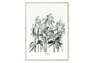 y݌ɌzyēׂȂzMy Deer Art Shop A[g|X^[ 50×70cm Botanics / Palms II (Limited edition of 250) kG A[gvg CeA I_  IV lC