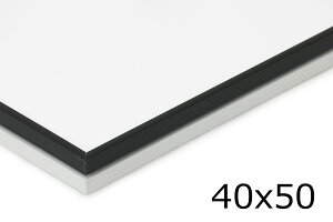 ART PRINT JAPAN@A[gvgWp@A~|X^[t[/z@tBbgt[@40×50cm@yA~t[ F mN mg[ ׂ ז X Vv X^CbV