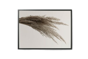 y݌ɌzyēׂȂzCoco Lapine Design@|X^[/A[gvg@50×70cm@PampasyCXg CeA hCc kG  Ǌ| G pl _ mN mg[z