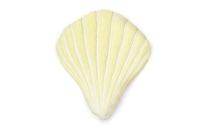 y݌ɌzyēׂȂzBroste Copenhagen@Lk`[t̑NbV@SEASHELL@CgCG[@ȓykG f}[N Vv _ mg[  CeA 