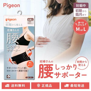 sW g Dw̍T|[^[  Dw K[h ubN }^jeBp Iׂ M LTCY pigeon