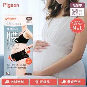 sW g Dw̍T|[^[  Dw K[h ubN }^jeBp Iׂ M LTCY pigeon