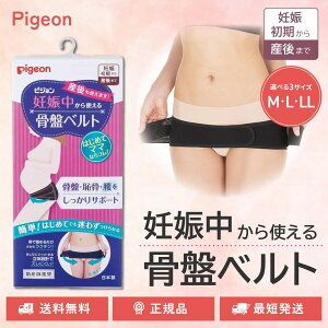 sW DPg鍜Ճxg Iׂ M L LLTCY DP Dw ՃT|[g YO Y Ջ pigeon