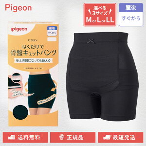 sW ͂ōՃLbgpc 鉤؊JΉ IׂTCY M L LL ubN YO Y ՃPA ՃT|[g pigeon