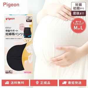 sW ՃT|[g Dwуpc pc^Cv Iׂ2TCY 2J[ DPY܂ ՃPA pigeon