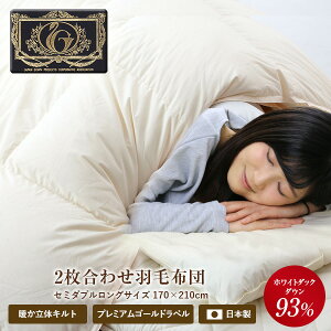 Hѕzc 2킹yNzv~AS[hxyzZ~_uO 170×210cm zCg_bN_E93 { Li _Ep[440dp HтӂƂ Hъ|zc I[V[Y