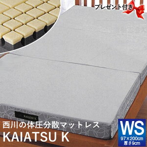 布団 寝具 西川 快圧」の人気商品一覧 | 安い商品を通販サイトから探す 