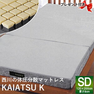 �y�v���[���g�t �z���샊�r���O �y24+�z �������N�}�b�g���X KAIATU K �J�C�A�c�E�P�[ �i3�܂�j TFP103 (2440-25219) SD �Z�~�_�u�� 9×120×200cm �L���[�u�^�C�v �n�[�h ���{�� 210�j���[�g���y���b�s
