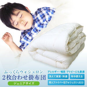 􂦂 |ӂƂ 2킹 |+| l킽iWASHRON EHV ECO 100gpjWjATCY 130cm×180cm LinJ[ ybsOsz