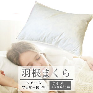  At@ 43×63cm H iNS-4363jzCg I[V[Y tFU[100 ܂ s[ v[g 炩 V Ԓ