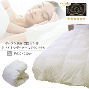 yԌ艿iz Hѕzc { 2킹 NC[O |[hYzCg}U[O[X_E95 v~AS[h iNG-0455j 210cm×210cm Li s[`XLH I[V[