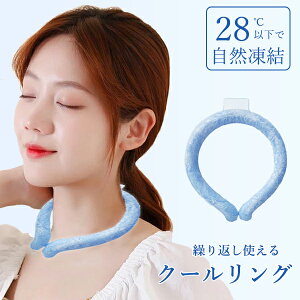 y30ۏ؁zlbNN[[ N[O MǑ΍ ŋ 28 ⊴ q O Ђ LbY O ACX  p^I l N[lbNO ЂObY lbNoh N[