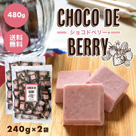 【choco de berry ショコドベリー 480g（240g×2袋）】イチゴ チョコレート 苺 いちご 一口サイズ 送料無料 プチギフト バレンタイン ホワイトデー