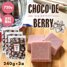 【choco de berry ショコドベリー 720g（240g×3袋）】イチゴ チョコレート 苺 いちご 一口サイズ 送料無料 プチギフト 父の日 母の日