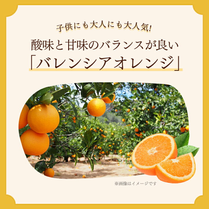 楽天市場 チョコレート フルーツ オ ショコラ オレンジ ドライフルーツ チョコがけ 500g 250g 2袋 半分にリニューアル カカオ70 ハイカカオ エンローバーチョコレート 送料無料 母の日 父の日 ショコドーネ