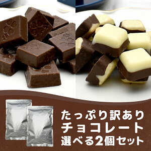 【たっぷり訳ありチョコレート 選べる2個セット ※】ミルクチョコ ホワイトチョコ ホワイトチョコレート ミルクチョコレート 一口サイズ 大容量 送料無料 プチギフト ハロウィン