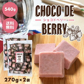 【choco de berry ショコドベリー 540g（270g×2袋）※】イチゴ チョコレート 苺 いちご 一口サイズ 送料無料 プチギフト