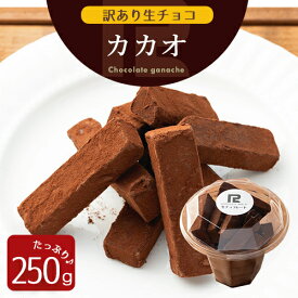 訳あり 生チョコ カカオ 250g 北海道生クリーム ガーナ産 カカオ豆 あす楽 大容量 切れ端 きれはし アウトレット セール スイーツ 洋菓子 お菓子 グルメ 食品 冷凍 お試し 限定 手土産 ギフト プレゼント＼母の日 プレゼント／