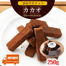 【送料無料】 訳あり 生チョコレート カカオ 250g 北海道産 生クリーム ガーナ産 カカオ豆 あす楽 大容量 きれはし アウトレット スイーツ 洋菓子 お菓子 グルメ 食品 冷凍 お試し 限定 手土産 販売期間前＼母の日 プレゼント／