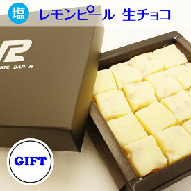 塩レモンピール 生チョコレート ギフト向けパッケージ 16粒入り ホッティーの塩、塩チョコ 海塩チョコ 天然塩 しお 食品 塩菓子 夏スイーツ 冷たい ひんやり 冷凍 おしゃれ 映え 可愛い サマー デザート お取り寄せ gift 季節限定