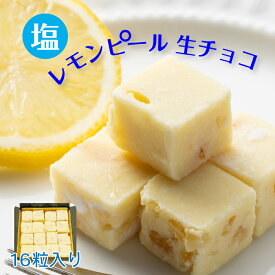 【送料無料 塩レモンピール 生チョコレート ご自宅用パッケージ 16粒入り ホッティーの塩 塩チョコ 海塩チョコ 天然塩 しお 食品 塩スイーツ 塩菓子 夏スイーツ 冷たい ひんやり 冷凍 おしゃれ 映え 可愛い サマー デザート