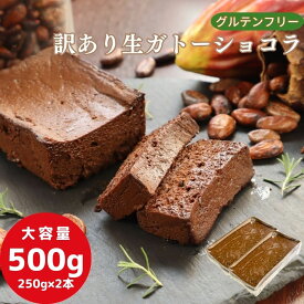ガトーショコラ 生 グルテンフリー 訳あり 500g (250g×2本) チョコレートケーキ チョコレート ケーキ 大容量 お菓子 洋菓子 わけあり 小麦粉不使用 送料無料 お取り寄せ スイーツ 洋菓子 大人 人気 冷凍 バレンタイン ホワイトデー