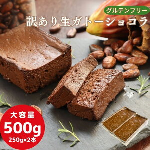 Kg[VR  Oet[ 󂠂 500g (250g×2{) `R[gP[L `R[g P[L e َq mَq 킯 sgp   XC[c mَq l 