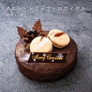 NX}XP[L 2025 mGEgtEC 4 12cm `R[gȊ֌W \ XC[c  `R[g [P[L `R[gP[L v[g lC Ⓚ 